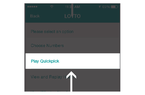 playing lotto on fnb app